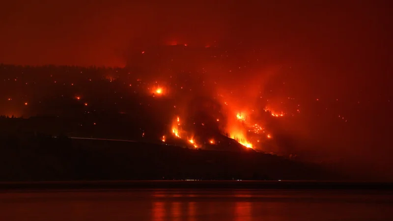 Wildfires: British Columbia declares state of emergency, thousands forced to flee homes