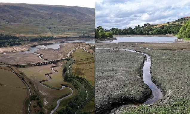 Water companies could be allowed to charge customers more during droughts as watchdog considers giving green light to 'surge pricing'