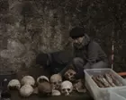 Atlas of Disappearance review – forensic quest for thousands of forgotten victims of the Spanish civil war