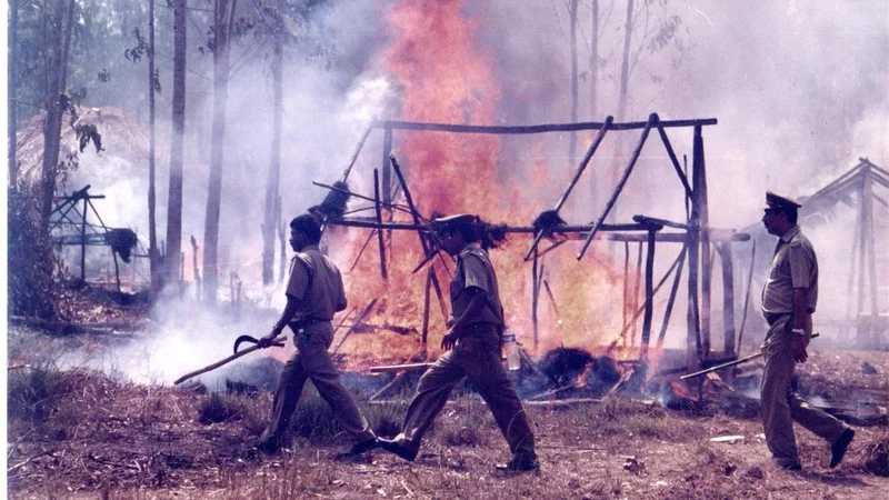 Court verdict brings wounds of Kerala’s Muthanga land agitation back into focus