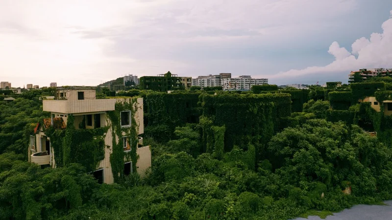'The apparent chaos of the Anthropocene is turbocharging evolution itself': Plants are finding ways to survive and thrive in the climate crisis — if we let them