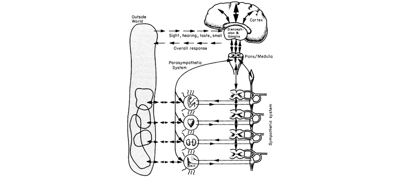 The cybernetic application