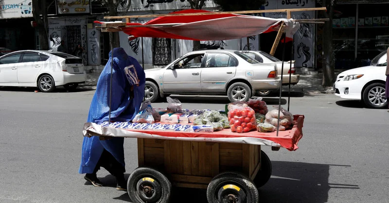 Women's share of Afghan labour market shrinks to 5% under Taliban, UN says