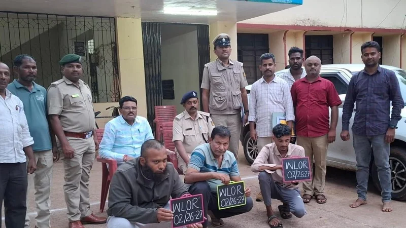 Six arrested for hunting blackbuck in Bidar forests