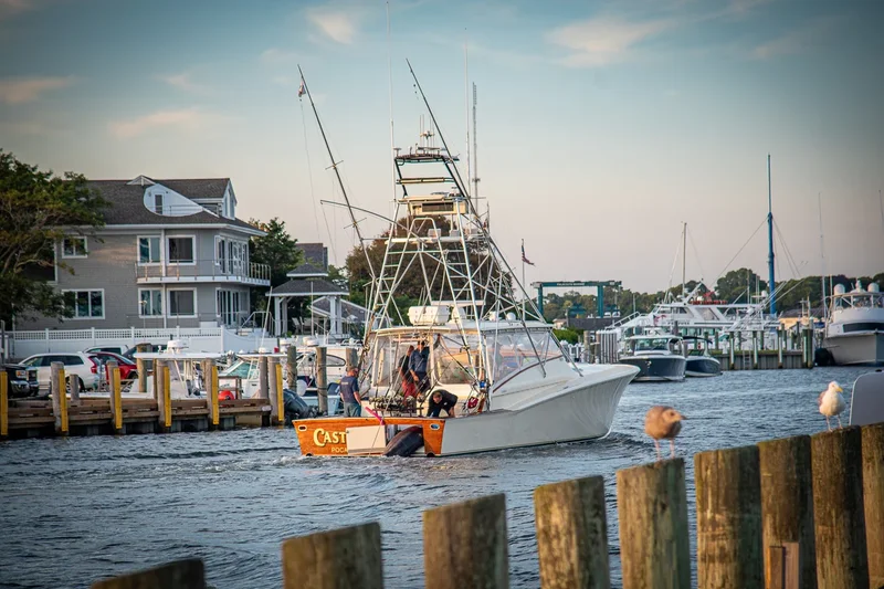 Man catches 1260-pound Atlantic blue marlin believed to break East Coast record