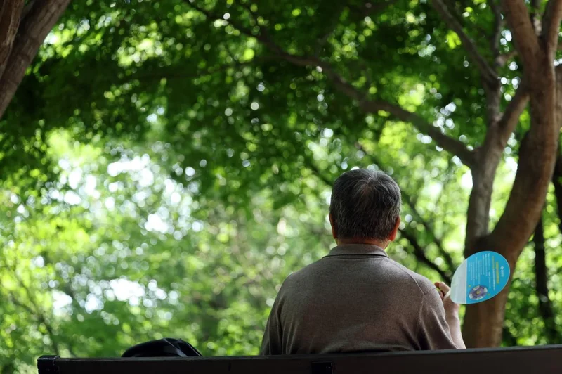 Why some parts of Seoul are hotter than others