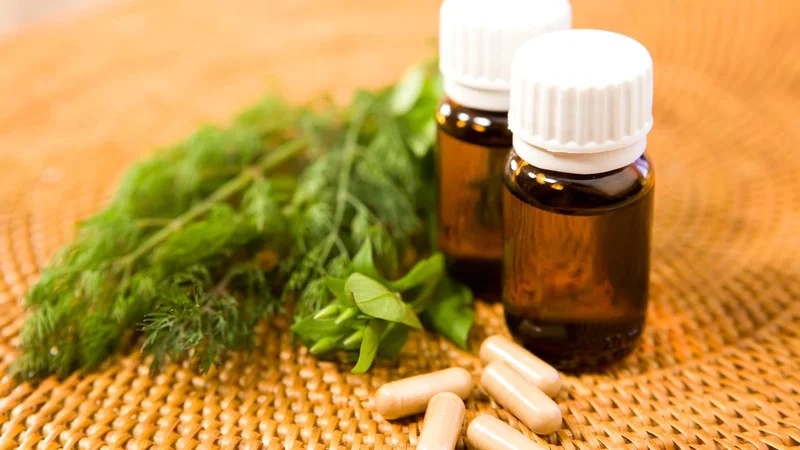 Maharashtra FDA permanently cancels Pune-based pharma firm's license over six contaminated medicines, GMP lapses