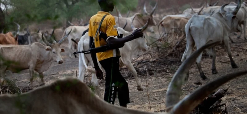 Suspected herdsmen kill three, injure others in fresh Benue attack
