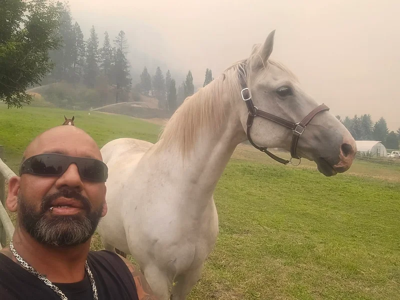 Summerland wildfire livestock ‘hero’ stopped after breaking the rules