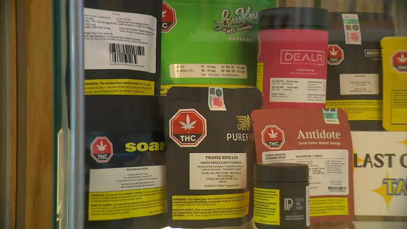 Ottawa pledges millions to study cannabis mental health, pregnancy impacts