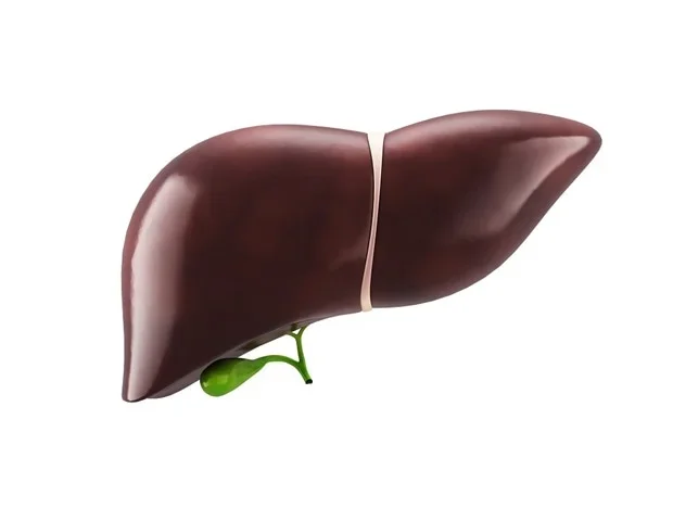 Texas A&M study links polyethylene microplastics to fatty liver disease