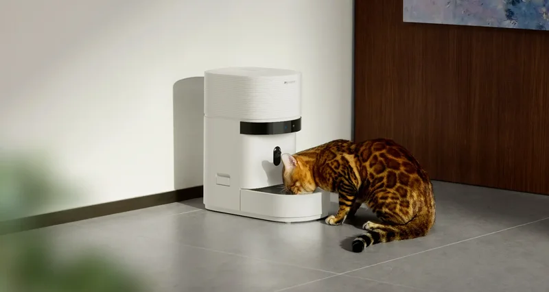 Cats and dogs are missing meals after a popular smart feeder went down