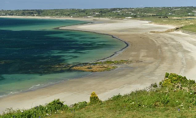 Shark sighting closes Jersey beach for the first time in HISTORY: Lifeguards clear the water after a 12ft creature is spotted