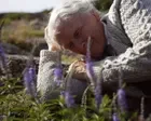 The Summer Book review – Glenn Close powers sweet-natured take on Tove Jansson’s kids’ classic