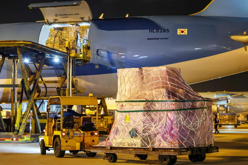 Number of 1st-time exporters up nearly 4% in 2025: data