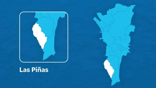 Las Piñas student fatally stabbed by fellow student