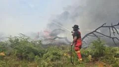 New Forest wildfire continues as temperatures rise