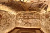 The Online Trade of Mummified Remains Could Be Spreading Harmful Fungi