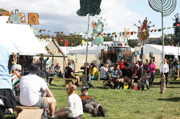 People seeking last-minute Electric Picnic tickets warned to be wary of scams
