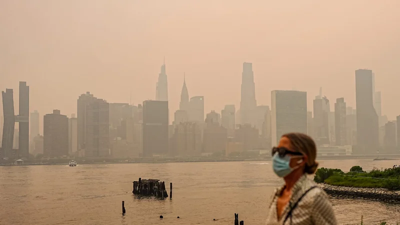 Wildfire smoke now bigger prenatal threat than human sources of air pollution