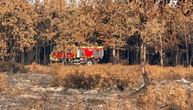 Ukrainian rescuers arrive in France to help battle massive wildfire