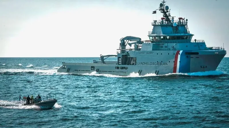 Iceland anti-whaling mission a success: activists