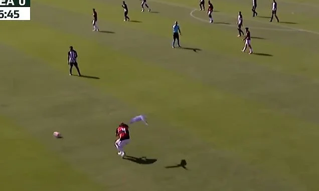 Match delayed by PARROT attack: Incredible moment Brazilian youth game is stopped as bird swoops down on player