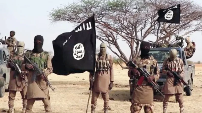 Confusion hits ISWAP camp as leader detains members over alleged dissent