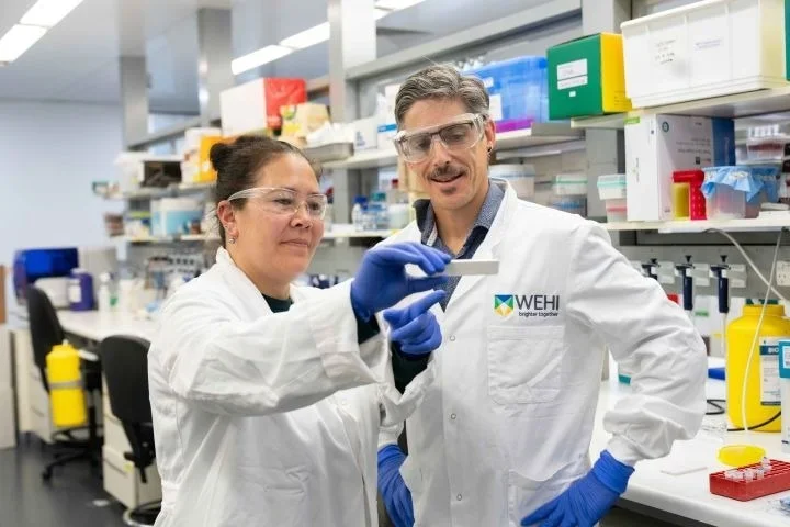 Rapid test breakthrough could transform iron treatment worldwide