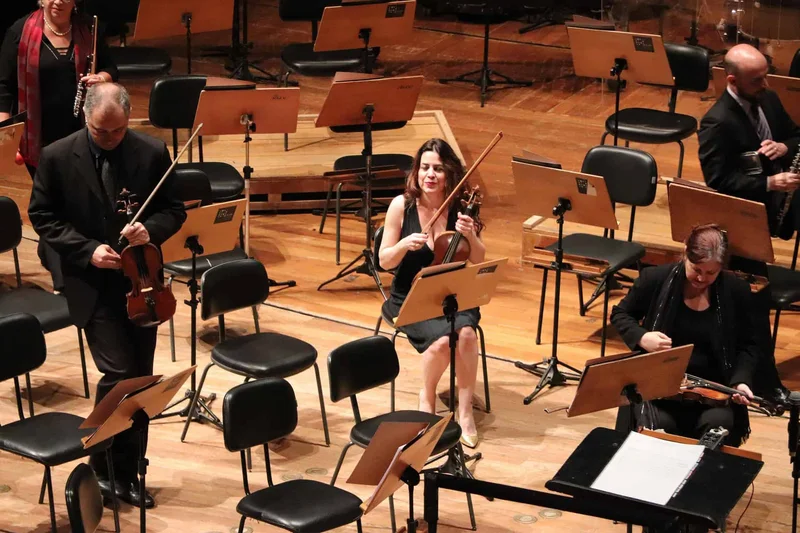 Free Mozart Near Buenos Aires: Six Nights of The Magic Flute in La Plata