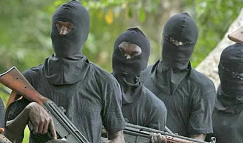 Kwara: 25 people died in captivity, 3 from snake bite – Rescued victim reveals