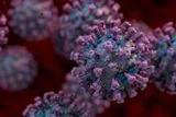 Some COVID-19 Patients Suffered Heart Damage, an Overlooked Coronavirus Protein May Explain Why