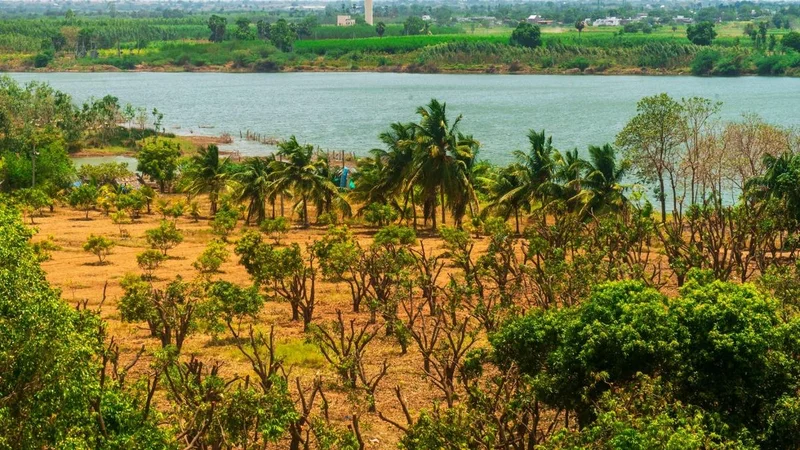 HDPT chief calls for conservation of Gundlakamma river