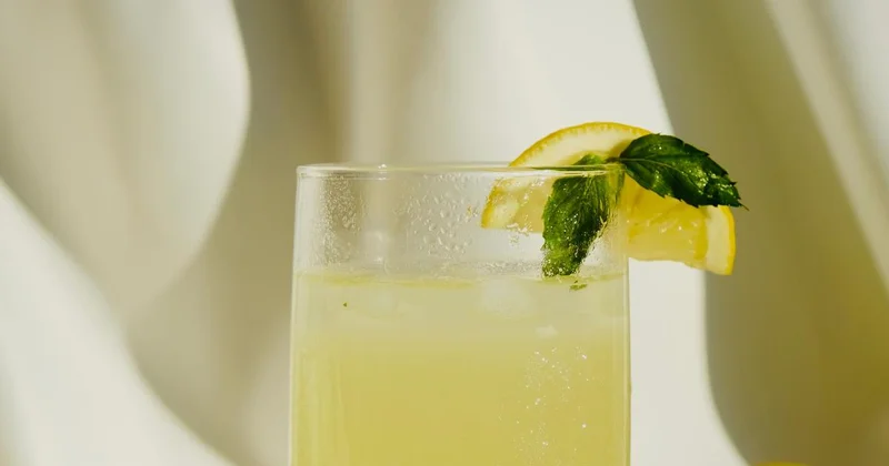 This book lists jackfruit seed milkshake, aloe vera lemonade, other delicious recipes for hydration