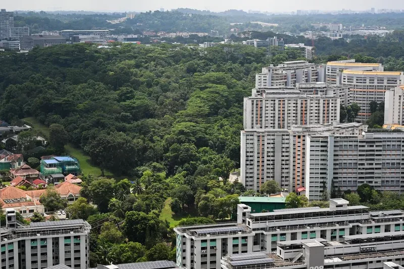 Gillman Barracks, Maju Forest need to be developed to meet housing needs over next decade: Alvin Tan