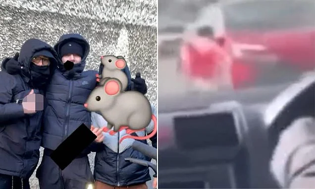 The 'Lucky Dip' gang terrorising Ireland's roads: After five teens die in horror crash, how youths from Dublin estates are stealing cars to speed into motorway traffic