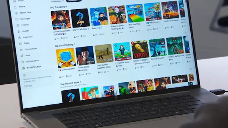 Understanding the road to online radicalisation: Why platforms like Roblox are only one part of the puzzle