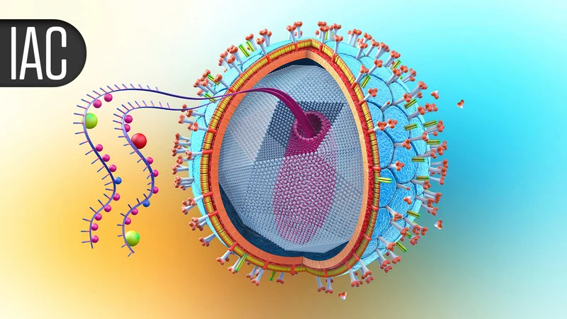 Experts Establish Pillars of Care for Older Adults With HIV