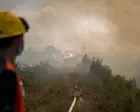 Indonesia wildfires threaten orangutans rescued from animal traffickers