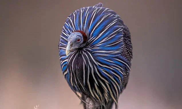 Captivating! The best pics of nature - as taken in British zoos, aquariums and reserves