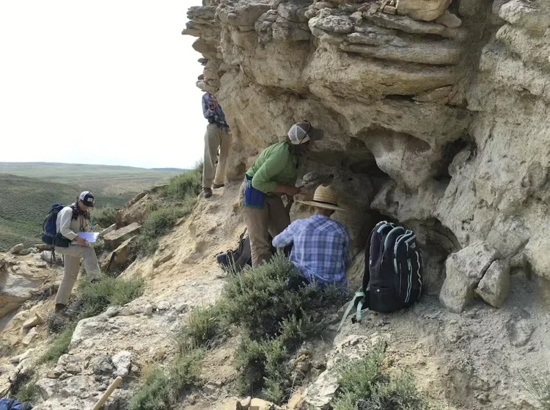 Ancient Forests Took 100,000 Years to Recover From the Last Global Warming Period Similar to Today – Wyoming Fossils Reveal What Happened