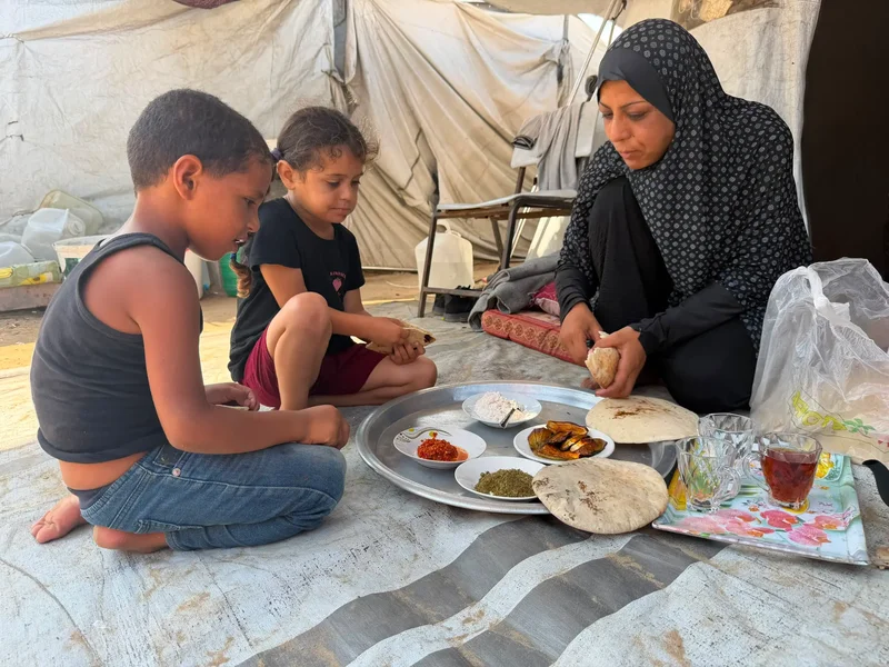 Palestinian women in Gaza face legal hurdles in divorce struggles