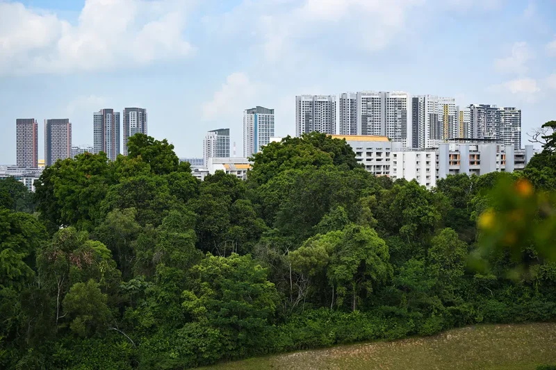 Parliament to discuss Maju Forest redevelopment and GovTech retrenchments on Aug 4