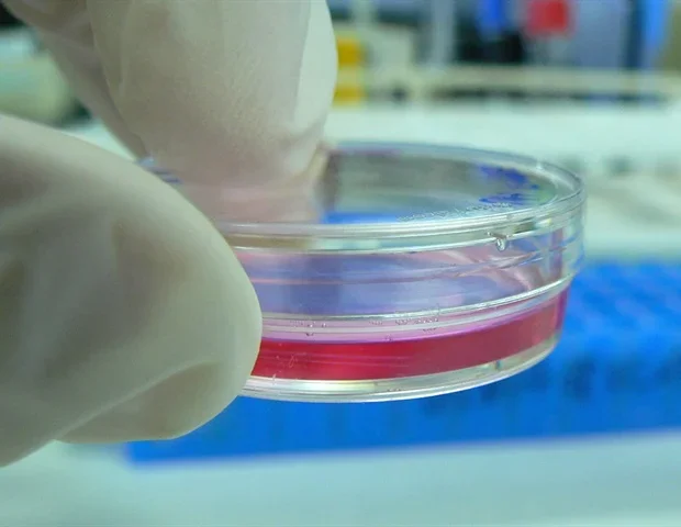 Researchers develop new strategy for controlling therapeutic peptide release from gelatin particles