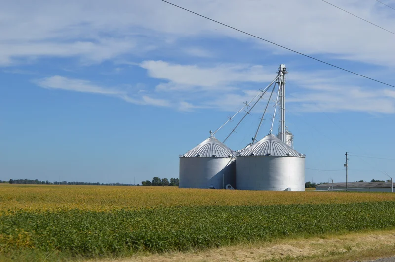 The Soybean Arithmetic: Why Brazil’s 73.6% and China’s US Pledge Can’t Both Hold
