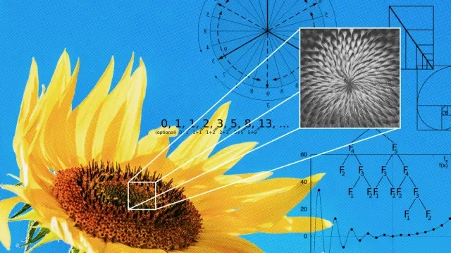 The hidden mathematics behind why you find things beautiful