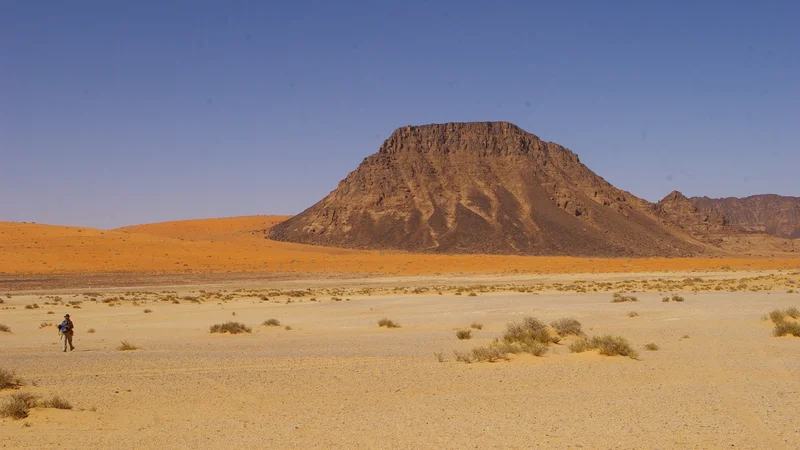 Neanderthals may have trekked through the Saudi Arabian desert 55,000 years ago, farther south than experts thought possible