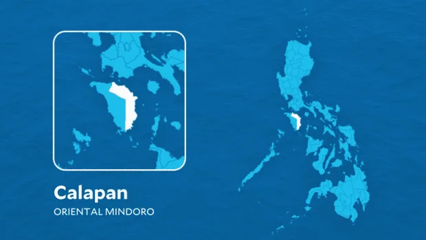 Oriental Mindoro inflation eases to 7.4 percent in July