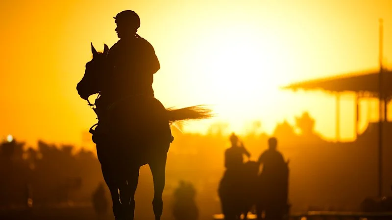 Tips and race-by-race guide to Goulburn on Monday