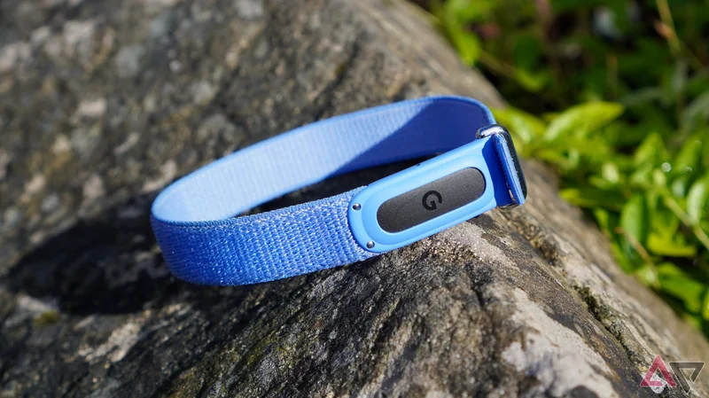 This underrated feature just made my $99 Fitbit Air an even better value